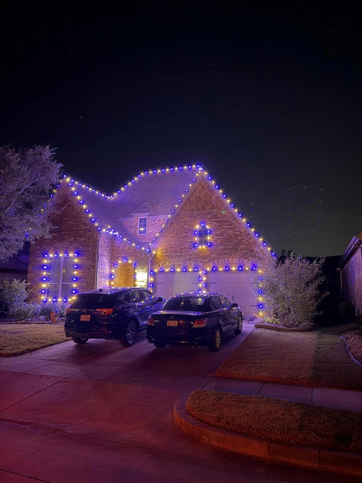 Custom holiday lighting installed by Pursuit (30 of 57)