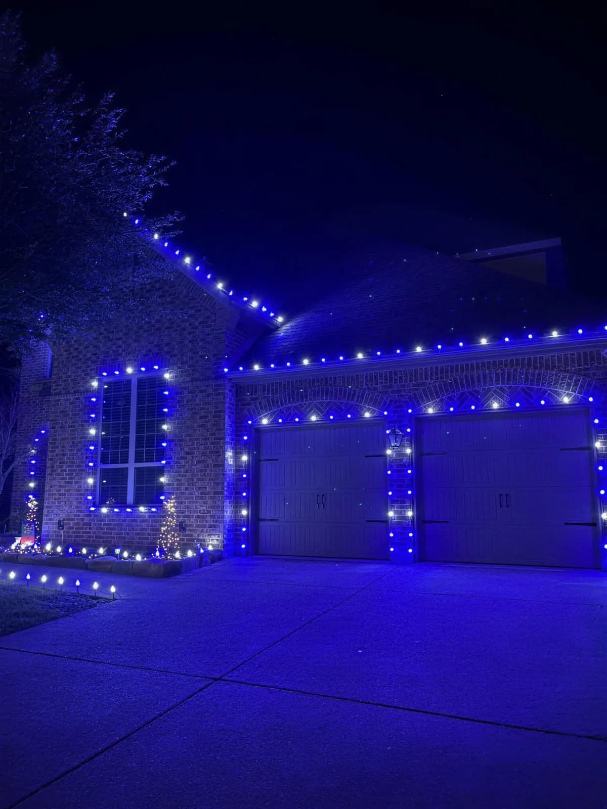 Custom holiday lighting installed by Pursuit (49 of 57)
